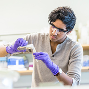 Student wearing purple gloves pours liquid in a lab.