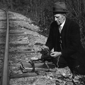 Brainerd pressing plants by railroad tracks