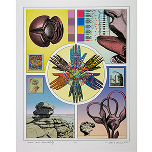 W. David Powell's "Sense and Sensibility," 2008