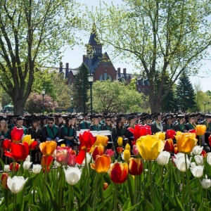 Tulips bloom in front of UVM graduates on commencement day