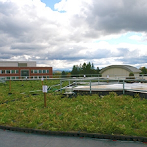Aiken green roof