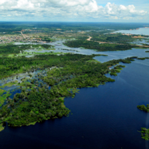 Aerial view of the Amazon rainforest 