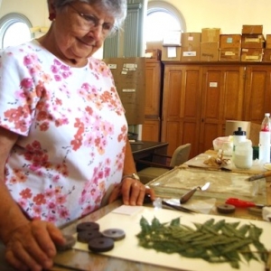 Hilda mounting a specimen