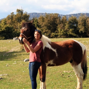 Student leading a horse 
