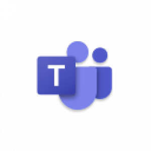 Teams icon