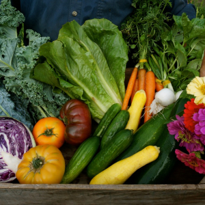 basket of vegetables