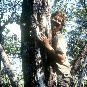 Zika climbing a tree