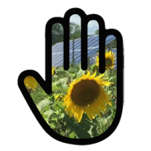 Pollinator Pledge
