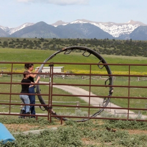 Student doing farm chores