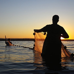 Researcher seining