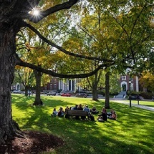 Students sitting under a tree on a UVM green