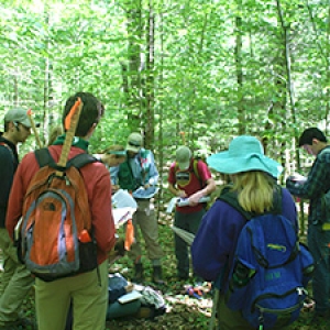 Students in northern hardwood forest