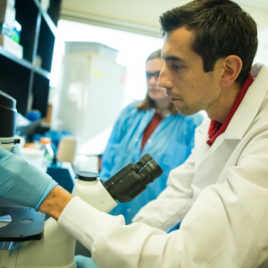 Dimitry Krementsov looks into a microscope