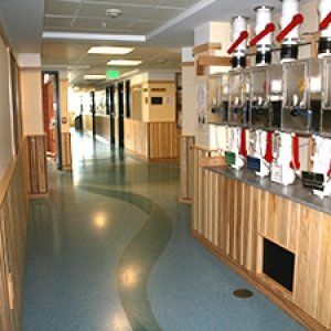 Tipping buckets for Aiken green roof
