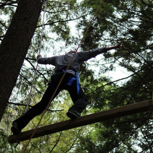 Climbing through the trees