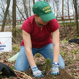 Student planting tree at city park