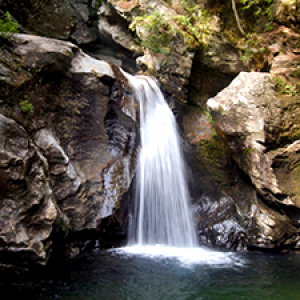 Waterfall into a forest pool surrounded by rock cliffs
