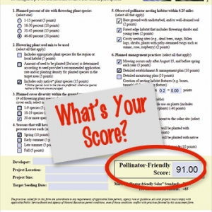 What's Your Score