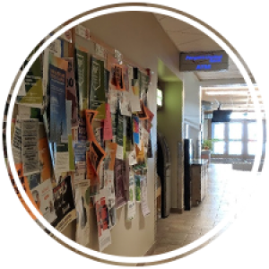 a bulletin board display full of posters in a hallway