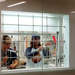 Specialized small classes for majors