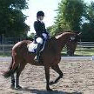 Student riding her horse in competition 