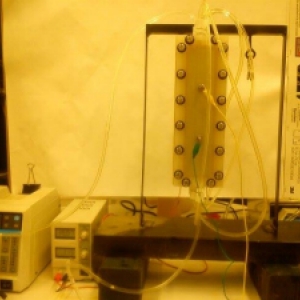 Fractures in Enhanced Geothermal Systems