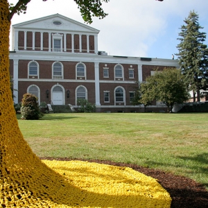 The Fleming Museum of Art exterior 