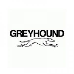 the greyhound bus logo