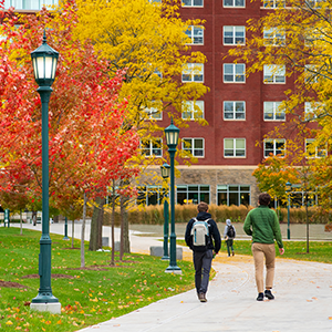 Students walk down a campus path surrounded by fall trees 
