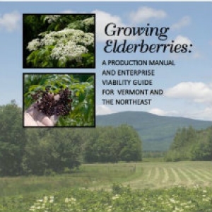 Download the Elderberry Production Manual Download the Elderberry Production Manual