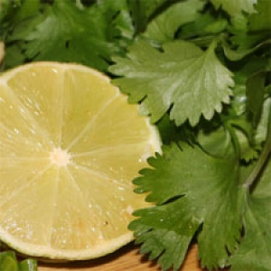 lime and cilantro