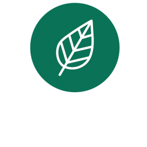 icon of a leaf