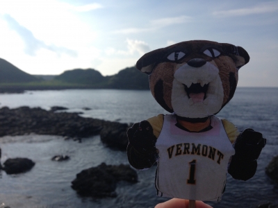 Rally Cat in Northern Ireland