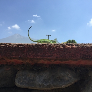 Bangata, Tanzania