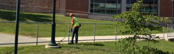 worker mowing grass