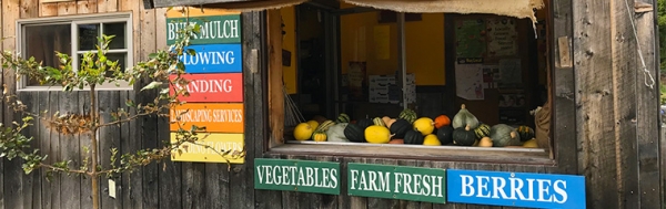 Farm stand