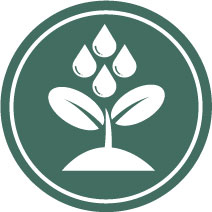 an icon image of a plant being watered 