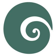 spiral icon