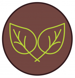 green leaves grow inside a brown circle