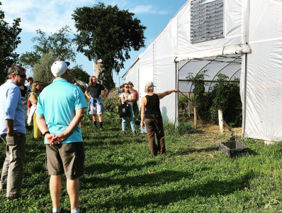 Students visiting Bread and Butter Farm during orientation