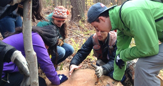 Students around tree stump