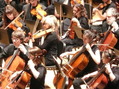Close up of the orchestra cello section.