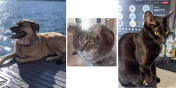 Betti, Tabitha, and Molly