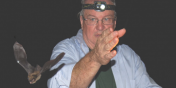 Kilpatrick shining headlamp on flying bat