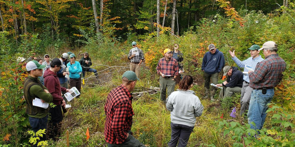 Group of people in forest clearing learn about research