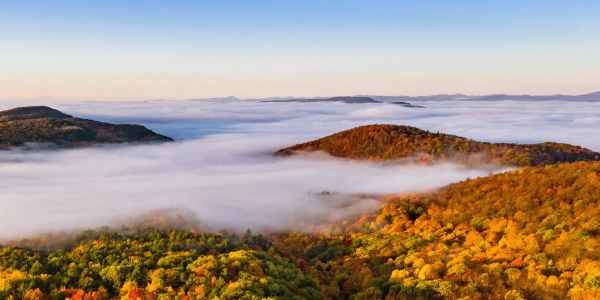 An aerial photo of fall foliage in Vermont. 