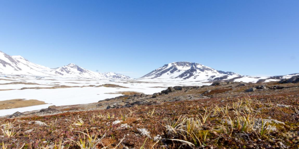 greenland tundra and mountains