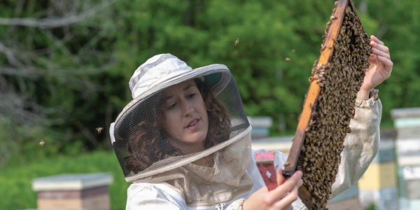 Gund Affiliate Samantha Alger looks at bees. 
