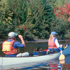 Two people canoeing on a river