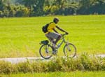 209102TREK-618